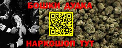 бошки Будённовск