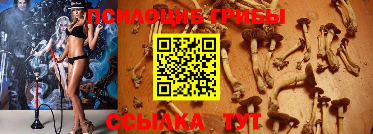 Псилоцибиновые грибы MAGIC MUSHROOMS Самара