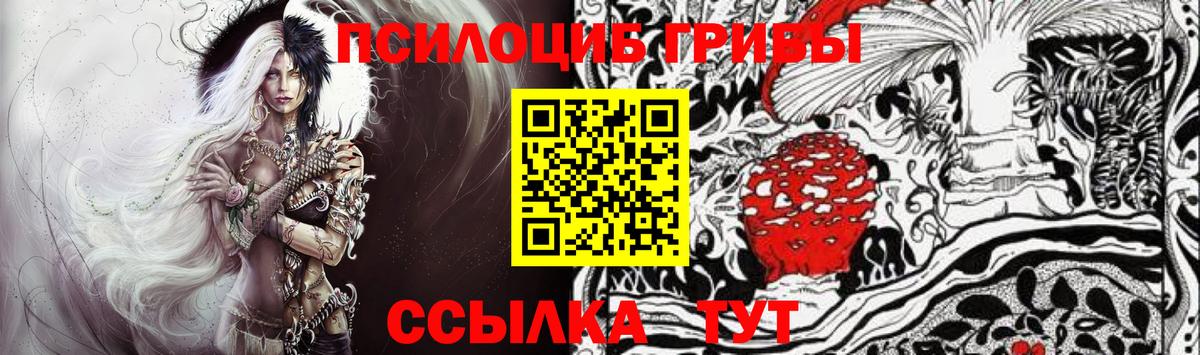 Самара  Псилоцибиновые грибы Psilocybe  Вход с VPN 